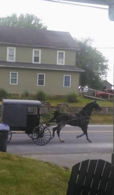 Amish Country W/ Buggy Ride