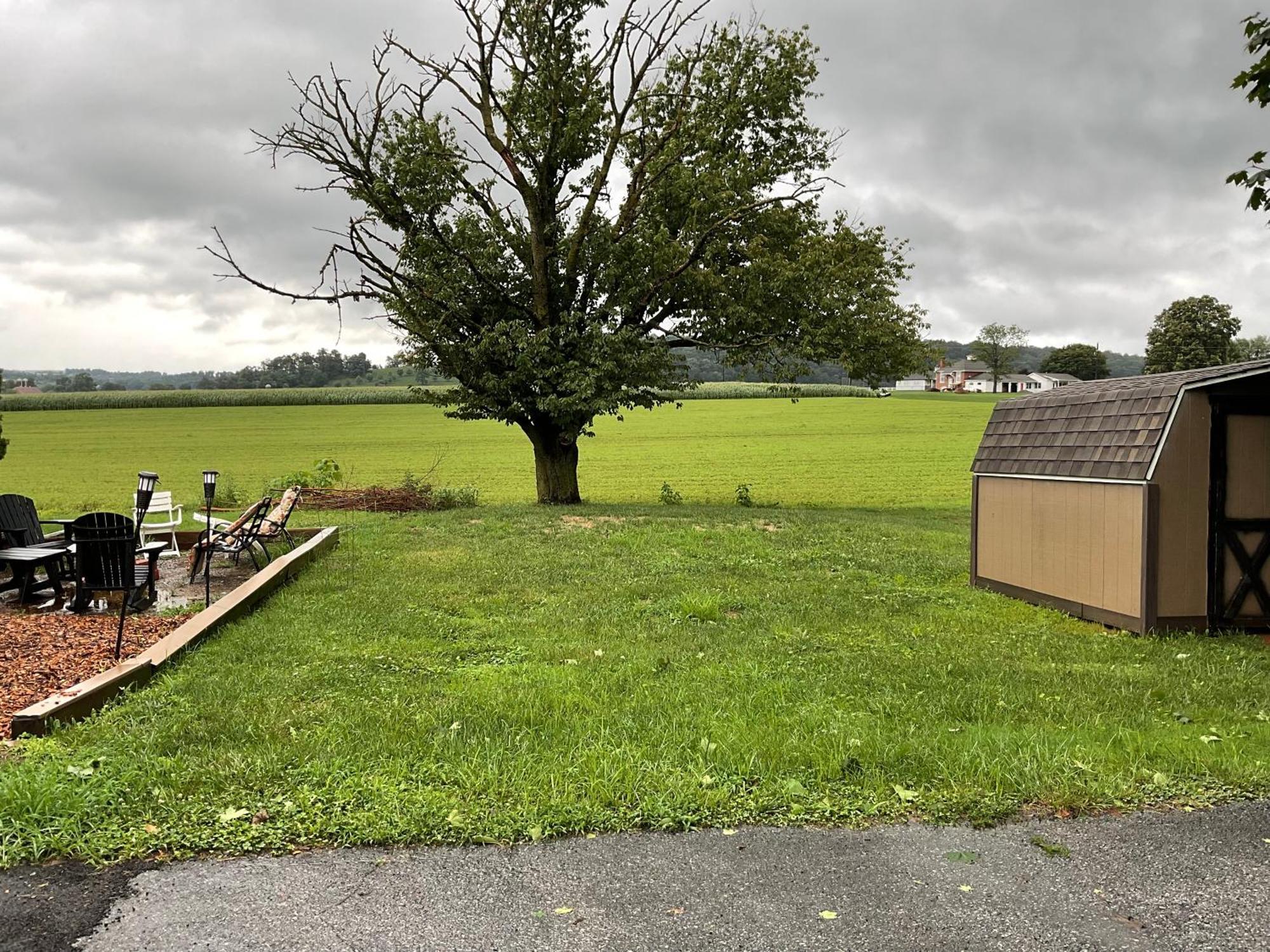 Amish Country W/ Buggy Ride Apartment